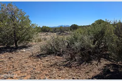 8299 W Clear Fork Loop, Williams, AZ 86046 - Photo 8