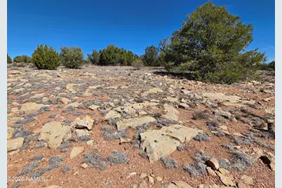 8299 W Clear Fork Loop, Williams, AZ 86046 - Photo 4