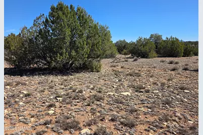 8299 W Clear Fork Loop, Williams, AZ 86046 - Photo 16