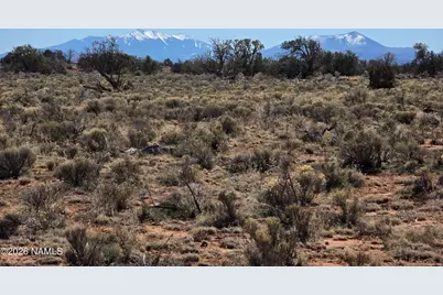 8299 W Clear Fork Loop, Williams, AZ 86046 - Photo 18