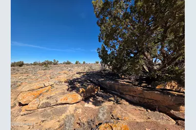 1153 E Indian Meadows Road, Williams, AZ 86046 - Photo 2
