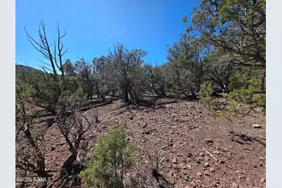 Parcel #205-33-005, Williams, AZ 86046 - Photo 26