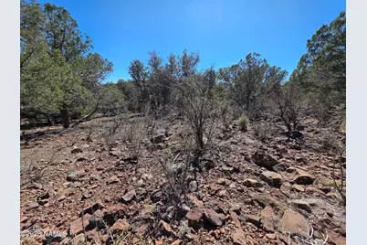 Parcel #205-33-005, Williams, AZ 86046 - Photo 20