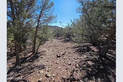Parcel #205-33-005, Williams, AZ 86046 - Photo 18