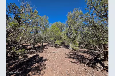 Parcel #205-33-005, Williams, AZ 86046 - Photo 6