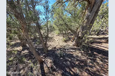 Parcel #205-33-005, Williams, AZ 86046 - Photo 1