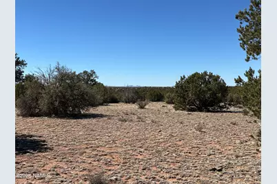 3156 Jackrabbit - 27.97 Ac Road, Williams, AZ 86046 - Photo 6