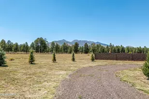 10290 Lundin Rd, Flagstaff, AZ 86004 - Photo 46