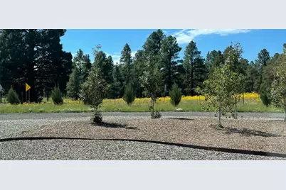 10290 Lundin Road, Flagstaff, AZ 86004 - Photo 44