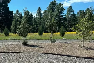 10290 Lundin Rd, Flagstaff, AZ 86004 - Photo 44