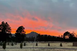 10290 Lundin Rd, Flagstaff, AZ 86004 - Photo 44