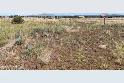 13373 E Dog Haven Place, Parks, AZ 86018 - Photo 4