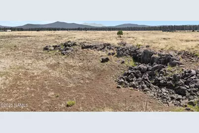 13373 E Dog Haven Place, Parks, AZ 86018 - Photo 6