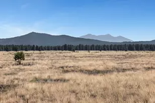 13373 E Dog Haven Pl, Parks, AZ 86018 - Photo 1