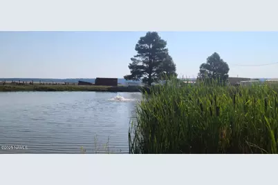 207 Blue Rdg Road, Mormon Lake, AZ 86038 - Photo 58