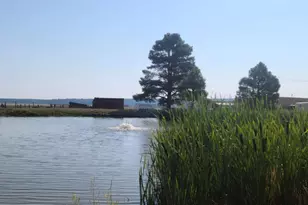 207 Blue Rdg Rd, Mormon Lake, AZ 86038 - Photo 58