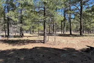 207 Blue Rdg Rd, Mormon Lake, AZ 86038 - Photo 42