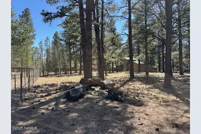207 Blue Rdg Road, Mormon Lake, AZ 86038 - Photo 46