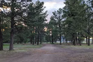 207 Blue Rdg Rd, Mormon Lake, AZ 86038 - Photo 62