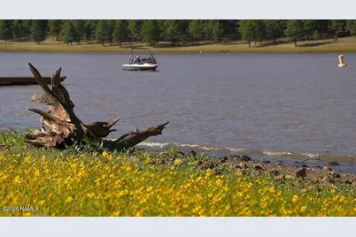 207 Blue Rdg Road, Mormon Lake, AZ 86038 - Photo 64