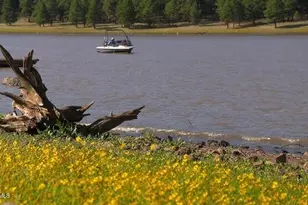 207 Blue Rdg Rd, Mormon Lake, AZ 86038 - Photo 64