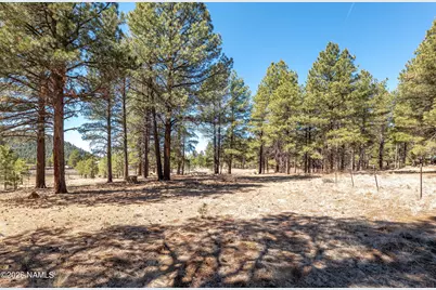 4122 N Mountain View Way, Parks, AZ 86018 - Photo 2