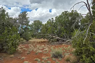 5666 Lasso Loop, Williams, AZ 86046 - Photo 1