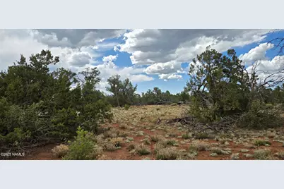 5666 Lasso Loop, Williams, AZ 86046 - Photo 8