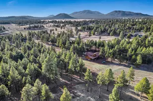 4960 Forrest Ranches Loop, Parks, AZ 86018 - Photo 50