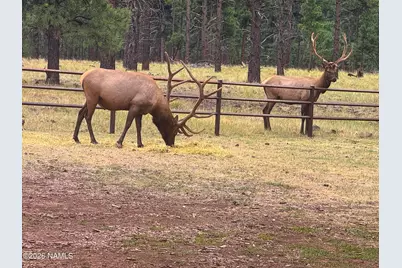 4960 Forrest Ranches Loop, Parks, AZ 86018 - Photo 30