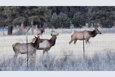 7735 S Koch Field Road, Flagstaff, AZ 86004 - Photo 8
