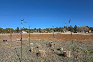7735 S Koch Field Rd, Flagstaff, AZ 86004 - Photo 36