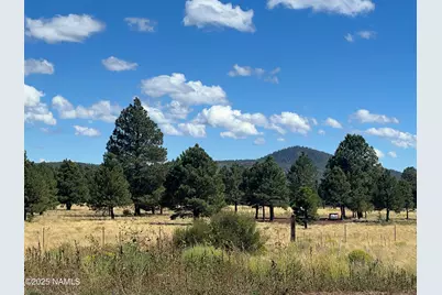 665 S Dust Devil Drive, Parks, AZ 86018 - Photo 32