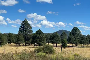 665 S Dust Devil Dr, Parks, AZ 86018 - Photo 32