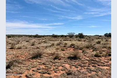 339 S San Luis Drive, Williams, AZ 86046 - Photo 6