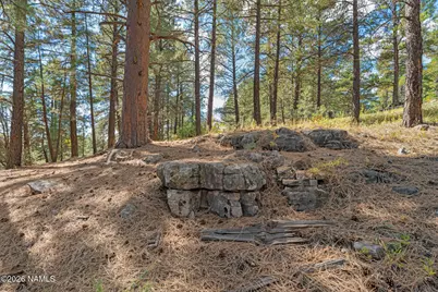 3407 S Litzler Drive, Flagstaff, AZ 86005 - Photo 6