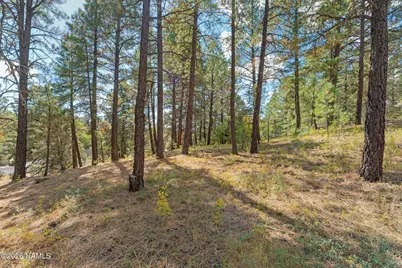 3407 S Litzler Drive, Flagstaff, AZ 86005 - Photo 1