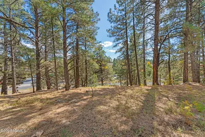3407 S Litzler Drive, Flagstaff, AZ 86005 - Photo 8