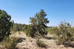 25753 W El Dorado Dr, Seligman, AZ 86337 - Photo 1