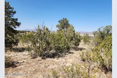 25753 W El Dorado Drive, Seligman, AZ 86337 - Photo 4