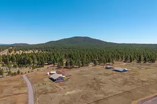 3095 E Pinetree Dr, Williams, AZ 86046 - Photo 56