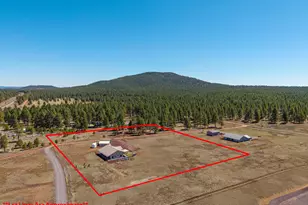 3095 E Pinetree Dr, Williams, AZ 86046 - Photo 68