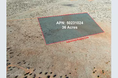 1462 Red Butte Road, Williams, AZ 86046 - Photo 4