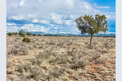 1462 Red Butte Road, Williams, AZ 86046 - Photo 8