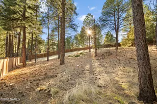 6080 E Abineau Canyon Dr, Flagstaff, AZ 86004 - Photo 48