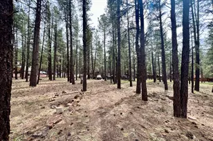 7350 E Jolly Rogue Ln, Williams, AZ 86046 - Photo 1