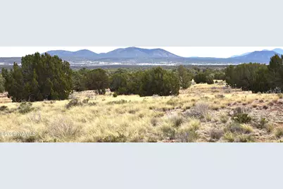 4948 E Larkspur Road, Williams, AZ 86046 - Photo 6