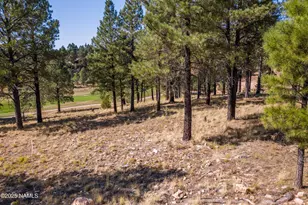2900 S Solitaires Canyon Dr, Flagstaff, AZ 86005 - Photo 1