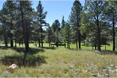 2900 S Solitaires Canyon Drive, Flagstaff, AZ 86005 - Photo 6