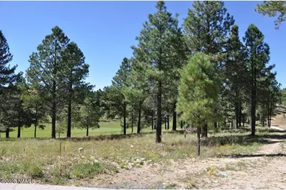 2900 S Solitaires Canyon Drive, Flagstaff, AZ 86005 - Photo 14